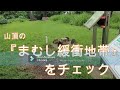 神奈川県・厚木市・愛川町・鳶尾山・・鳶尾山頂のまむし緩衝地帯のチェック、野草の開花状況をチェック