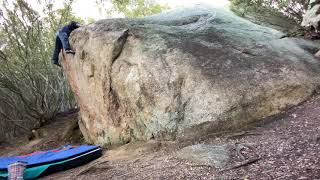 遠見山　如月 初段