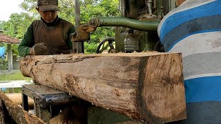 Senior bandsaw-28' amazing Penggergajian kayu jati gunung produksi mebel bahan papan