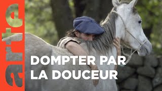 Oscar ou l'art d'apprivoiser les chevaux | 360° Reportage | ARTE Family