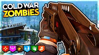 TORTURED PATH IN COLD WAR!!! | Call Of Duty Black Ops Cold War Zombies Outbreak Solo Gameplay + MP!!