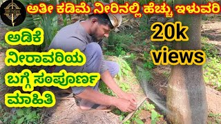 ಅತೀ ಕಡಿಮೆ ನೀರಿನಲ್ಲಿ ಅಡಿಕೆ ಬೆಳೆಯುವ ವಿಧಾನ | Arecanut watering technique #arecanutfarming #smvindians