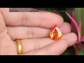 พลอย ส้ม ออเรนจ์ แซฟไฟร์ orange sapphire กะรัต 12.17 ct. 12.6x16.6x7.9 mm.