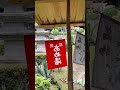 山口縣琉璃光寺的小茶館