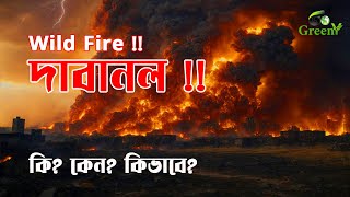 আমেরিকার লস অ্যাঞ্জেলেসের দাবানল কেন ও কিভাবে || Go Greeny