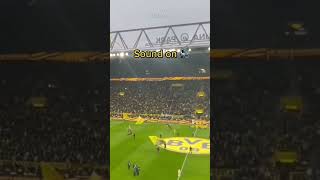 The Crowds reaction to Sébastien Haller coming on after beating cancer!🥹🏟️ #haller  #bvb #shorts