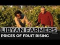 Libyan farmers ask for gov’t help to compete against foreign good