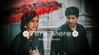 Tere mere full song [Slowed x Reverb] ||#slowedreverb  Stebin Ben & Asees Kaur