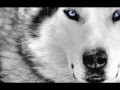 Son of a Wolf - Powerwolf