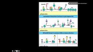 Immunology: Complement Control Proteins