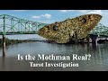 The Search for the Mysterious Mothman - Tarot Investigation