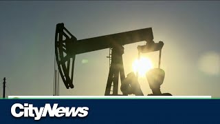 CityBiz: Oil on track for it's biggest weekly decline