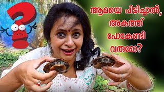 കുളം വറ്റിച്ചപ്പോൾ കിട്ടിയത് ഇതൊക്കയാണ് 😯, Live Fish catching, Live Fish Grill, Meen Pollichathu ,