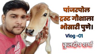 Panjarpol Trust Gaushala in Bhosari Pune! Gaushala Near me!  Full Video |