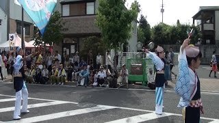 さぬき街ネタNEWS第122回D11  おおず瀬のはやみ連  柳街会場 銭形よさこい2016  第51回かんおんじ銭形まつり