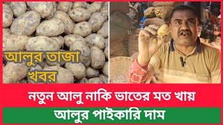 নতুন আলু নাকি ভাতের মত খায় !পানির দামে বিক্রি হচ্ছে আলু | আলুর কেজি কতো |today potato market price