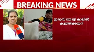 KSEBയുടെ അശ്രദ്ധ; ഇരുമ്പ് തോട്ടിയിൽ ചവിട്ടി വിദ്യാർഥിക്ക് പരിക്കേറ്റു | Mathrubhumi News