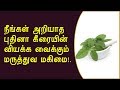 உடலை இரும்பாக்கும் புதினா | mint health benefits in tamil