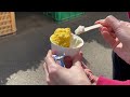 【vlog】鎌倉＿小町通り食べ歩き🚶‍♀️大仏さま焼き、わらびもち、レモンシュガークレープ🍋etc.いちご狩り第二弾