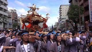 ３　新川越二　平成２９年富岡八幡宮例大祭 各町神輿連合渡御 から