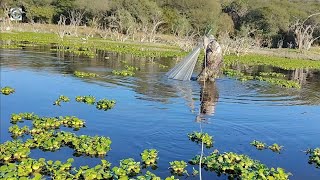 Fritanga sponsored by Rafael Quintero from Veracruz and an incredible fishing among the grass