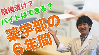 薬学部の６年間を聞いてみた