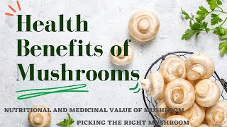 Health Benefits of Mushrooms | Nutritional \u0026 Medicinal Value of Mushrooms  | YouTube Informer