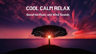 BLACK SCREEN SLEEP Music with WIND | DARK Screen | WIND Sound for Sleep, Relaxation, and Meditation