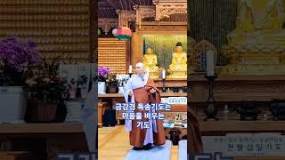 금강경 독경 기도는 마음을 비우는 기도 - 동명스님 법담 #불광사 #금강경 #금강경완독