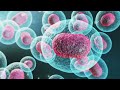 cancer and cure what to do when your own cells turn rogue vaccines car t cell u0026 m rna treatment