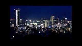 神戸「港みはらし台」からの夜景２０１３