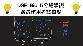 ［三屆Bio 5**］5分鐘學識滲透作用（osmosis) 考試重點 - DSE Bio必學