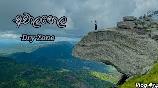 #srilanka  වැස්ස කාලෙක අවාලහෙලට | Awala Hela | Dry Zone Mountain SriLanka | Galoya National Park