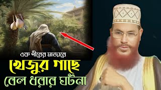 এক পীরের মাজারে খেজুর গাছে বেল ধরার ঘটনা।। আল্লামা দেলোয়ার হোসেন সাঈদি Dalwar Hossain Saidi 2025