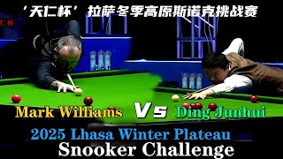 Mark Williams Vs ding junhui / Competition edited version 赛事编辑版