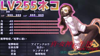 【悪魔紹介】Level255のネコマタちゃん‼ムキムキの物理は最強ですw Level255.shin megami tensei 3.【真・女神転生Ⅲ～HDリマスター】【真女神転生3・真3・メガテン】