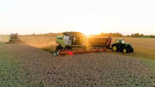 Javapjūtė 2020 | Wheat Harvest 2020 | Dirmeikių ūkis | Żniwa | 3 x Claas  \u0026 John Deere | Ernte |