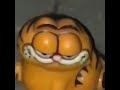 garfield meme