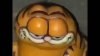 Garfield Meme