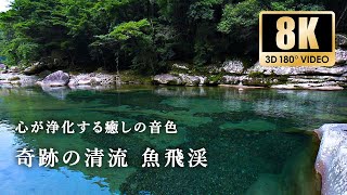 【心の浄化】究極の癒し環境音\u0026BGMと奇跡の清流「魚飛渓」