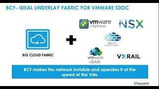 Big Cloud Fabric: E-VPC for VMware NSX-T