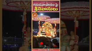 గరుడవాహనం పై శ్రీనివాసులు | OmkaraTelugu | #shorts