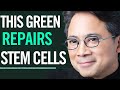 These 3 Vegetables Regenerate Stem Cells & Burn Fat🔥 Dr. William Li