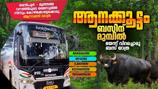 ആനക്കൂട്ടം ബസ്സിന് മുമ്പിൽ | Mysore To Kozhikode KSRTC Bus Trip via Bandipur Tiger Reserve, Muthanga