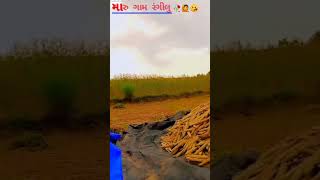 મારુ ગામ રંગીલુ 🌾🌱💓