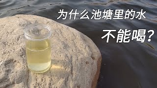 为什么池塘里的水不能喝？和纯净水放大比较一下你就懂了