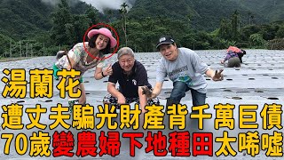 湯蘭花遭友人騙走全部財產，隱退嫁假富豪背千萬巨債，今70歲變農婦下地種田太唏噓#湯蘭花 #林青霞 #茶娛飯後