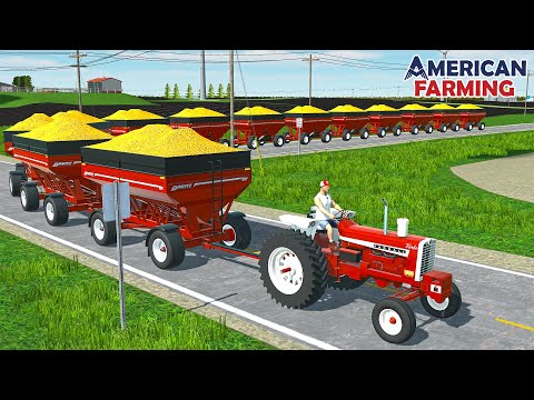 I PULLED 15 LOADED WAGONS WITH A 1206 INTERNATIONAL! (AMERICAN FARMING!)