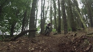 Local Loam