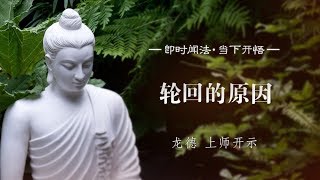 龍德 上師：輪迴的原因